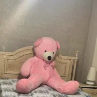 خرس بزرگ قد 180
