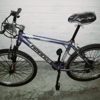 لوستر چوبی ودوتا دوچرخه استفاده نشده