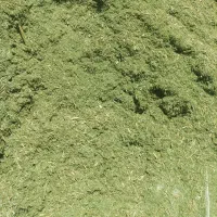 خوراک دام