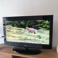 LCD 40 Inch Samsung|تلویزیون و پروژکتور|شیراز, فرهنگیان|دیوار