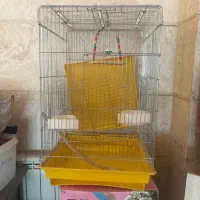 قفس پرنده