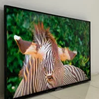 تلویزیون LED دو عدد 50 یکی هوشمند یک عدد الجی 43