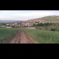 اجاره-زمین-کشاورزی-دیمی