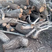 چوب‌‌وبیشه