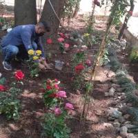 کارهای باغبانی ودرختکاری