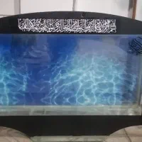 اکواریوم