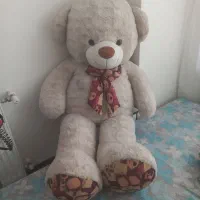 خرس تدی کرم