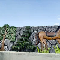 سیمانبری و سیمانکاری .نما ابشار محوطه . بنایی