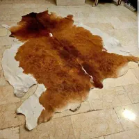فرش پوست