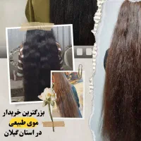 طلایی و خرمایی میخوام سیلک شلاقی