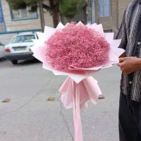 گل گیاه اپارتمانی گل شاخه ایی 60هزار تومن واقعی