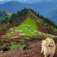 تور ماسال اولسبلانگاه ویژه فرودین 405