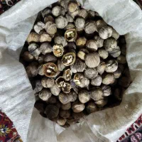 جاوز(گردو) فروشی