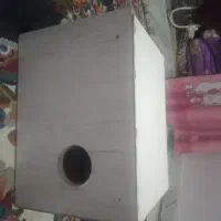 لانه پرنده و قفس