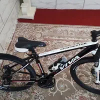 دوچرخه ویوا منچستر