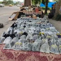 نیرو کار ساده