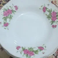 خورشت خوری گلسرخ ۱۱عدداصل
