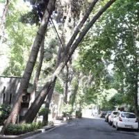 ۲۱۰ متر - پاسداران نگارستان ها - بنای قابل سکونت
