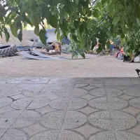 فروش-خانه-مزایده-ای