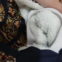 کاپشن|کفش و لباس بچه|مشهد, کارگران|دیوار