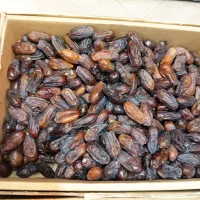 خرما ربی مرداب سنگ پیارم مضافتی