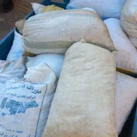 خرید پوست گردو فروش مغز گردو