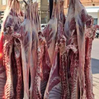 کارگر وردست قصاب