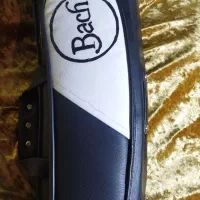 سافت کیس ترومپت