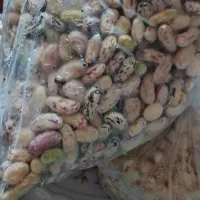 لوبیا پاک شده کیلویی ۳۰۰
