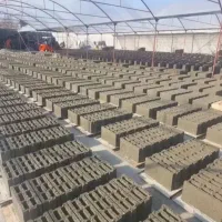 پخش عمده لیکا با مبحث 19 و 18