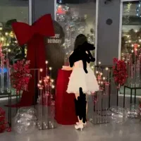 گلارایی  و بادکنکارایی تولد لاکچری و خاص