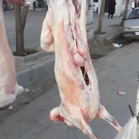 گوشت|خوردنی و آشامیدنی|کرمانشاه, |دیوار