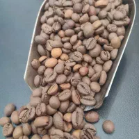 دان سبز و رست شده قهوه اسپرسو