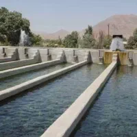 مجوز پرورش ماهی