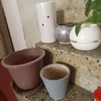 گلدون|گل و گیاه طبیعی|بروجرد, |دیوار