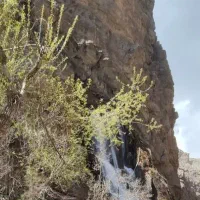 پیمایش جنگلی قله و ییلاق گیلان‌ماسوله
