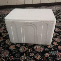 فیبری سالم