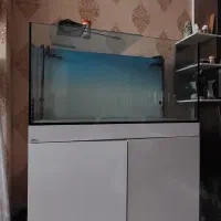 اکواریوم شرکت APA