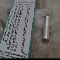 حرزه امام جواد بامحفظه نقره اصل