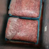 غذای گربه