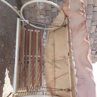 تاب باغی