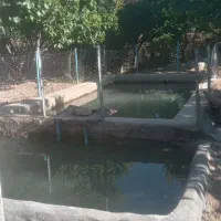 باغ-فروش