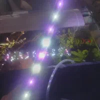 نور آکواریوم