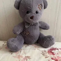 خرس|اسباب‌‌بازی|همدان, |دیوار