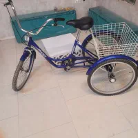 سه چرخه بزرگسال