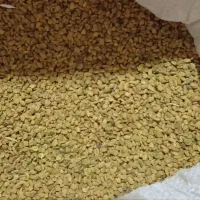 شنبلیله درجه یک کیلویی ۲۵۰ تومان