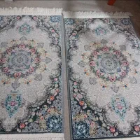 ۲عدد پادری درحدنو