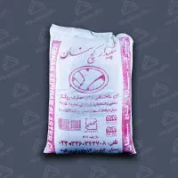 شاگرد گچساز