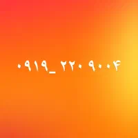 ۹۱۹ رند اعتباری نصف قیمت کارشناسی