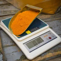 زردچوبه زرین و معطر (جزئی و عمده)
